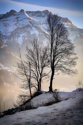 138772534_1491178774414801_1404588662140959368_n