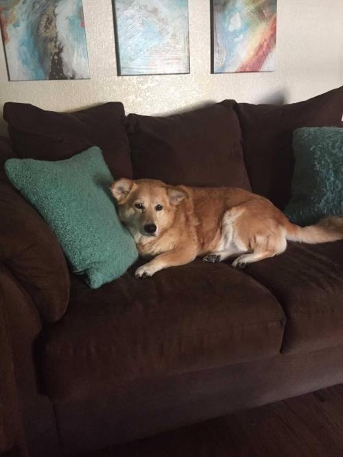 16:51:28 GMT-0600 (CST).image