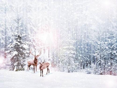 14:35:53 GMT-0600 (CST).image