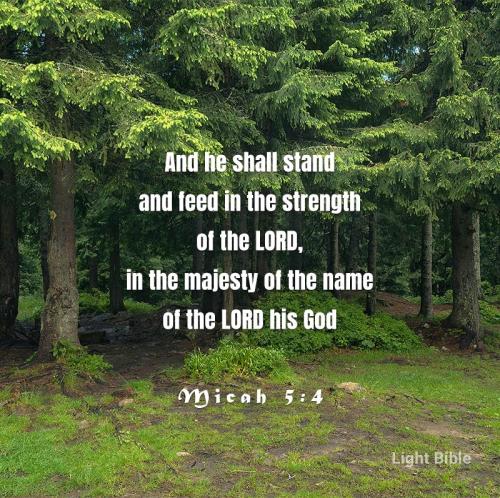 08:52:25 GMT-0500 (EST).*