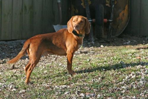 19:04:40 GMT-0600 (CST).image