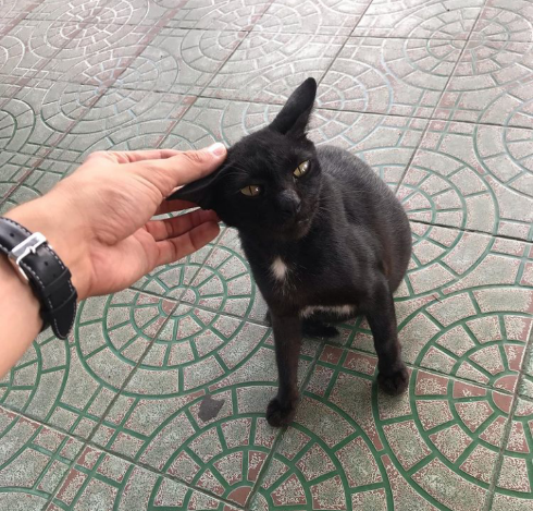 12:29:19 GMT+0100 (WAT)