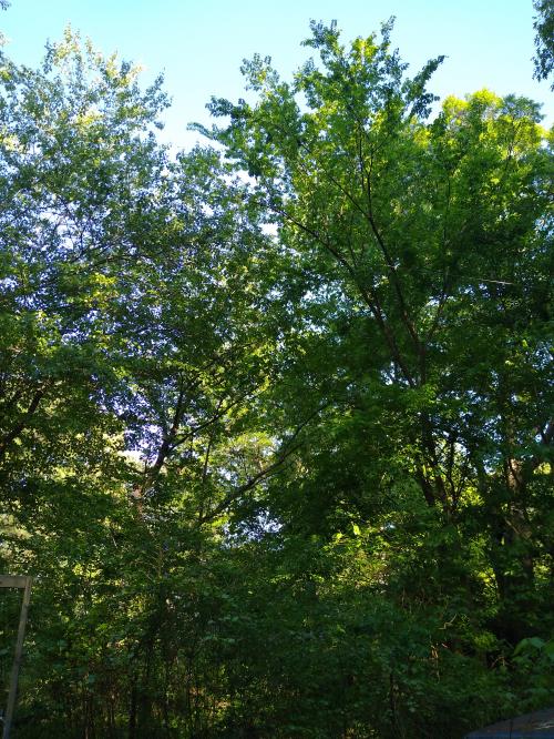 15:47:24 GMT-0600 (CST)