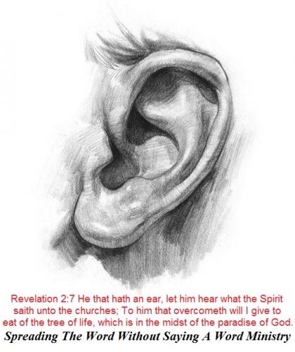 386129_262399910543972_1267818295_n - Copy (4) - Copy