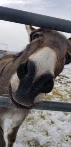 07:56:24 GMT-0800 (PST).image