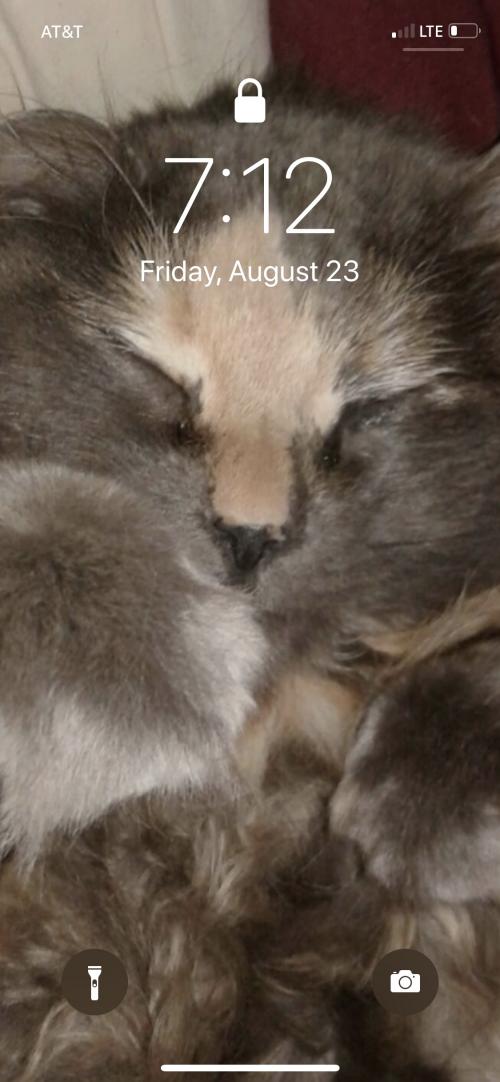 10:01:56 GMT-0600 (CST).image