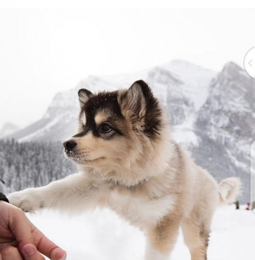 23:44:14 GMT+0100 (WAT).png