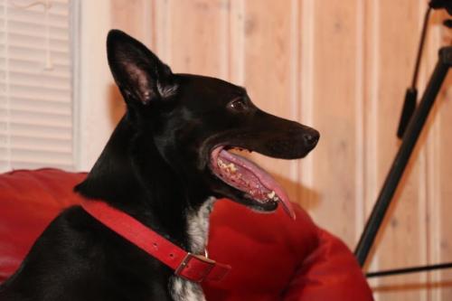 10:06:47 GMT-0600 (CST).image