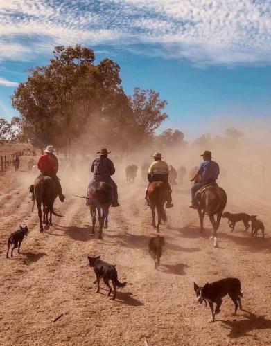 143628980_1261525260899772_4424769444329971598_n