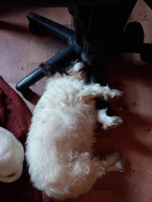 22:13:44 GMT-0500 (EST)