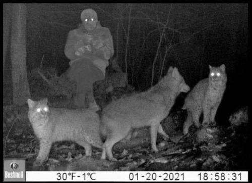 10:59:10 GMT-0600 (CST).image