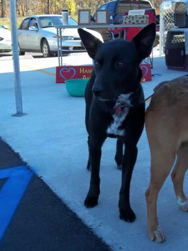 10:18:08 GMT-0600 (CST).image