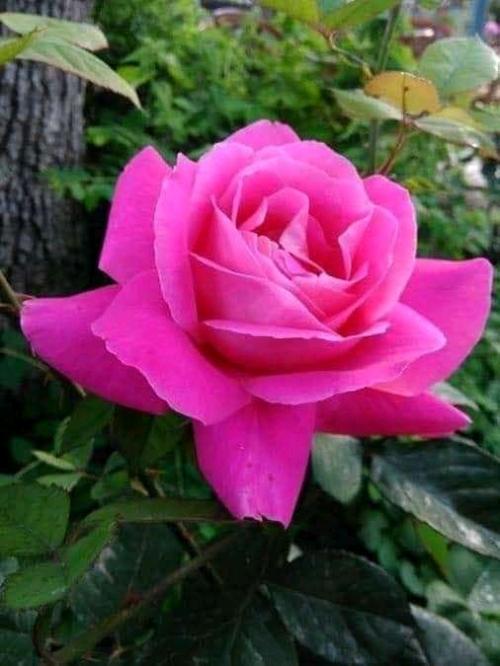 21:19:31 GMT+0100 (WAT)