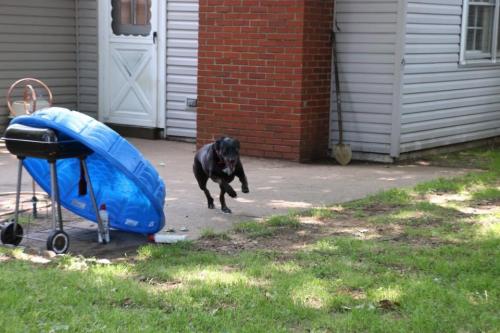 09:59:29 GMT-0600 (CST).image