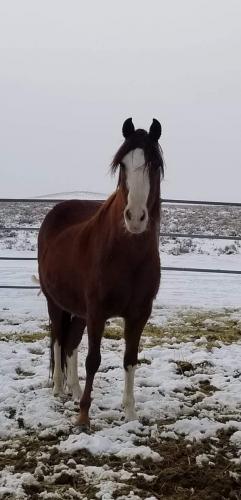 07:56:24 GMT-0800 (PST).image