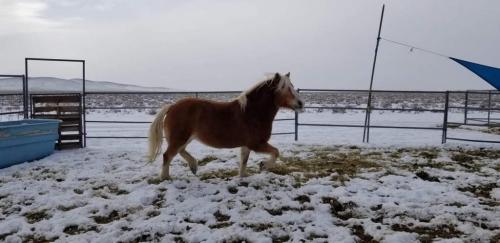 07:56:24 GMT-0800 (PST).image