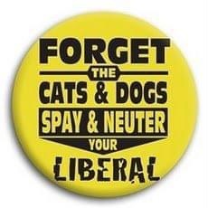 11:37:05 GMT-0600 (CST)