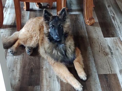 12:58:34 GMT-0600 (CST)