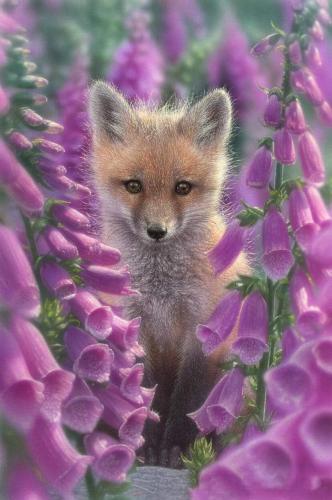 04:32:23 GMT-0600 (CST)