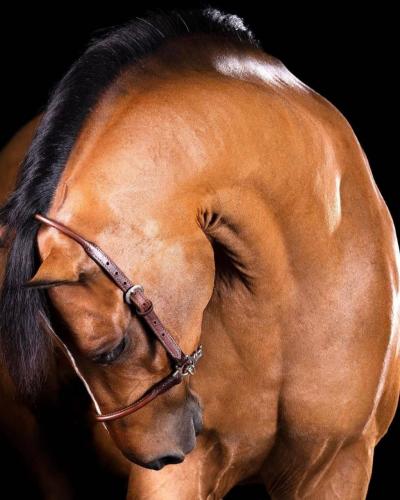 137038099_103751721686199_9203022226668611905_o