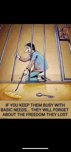 15:08:31 GMT-0600 (CST)