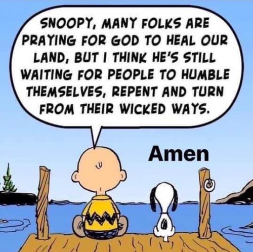 123526859_5321978914494354_5434026494481265370_n