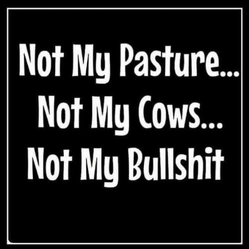 NOT MY PASTURE