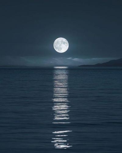 142666633_1784347531731451_1341877625078534842_o