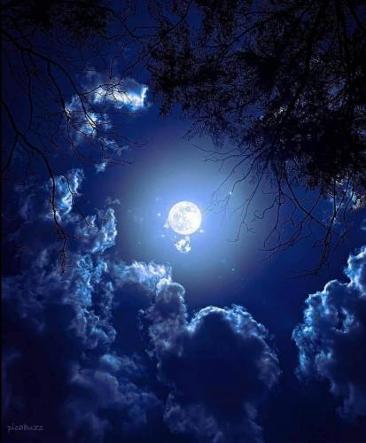 22:46:03 GMT-0600 (CST)