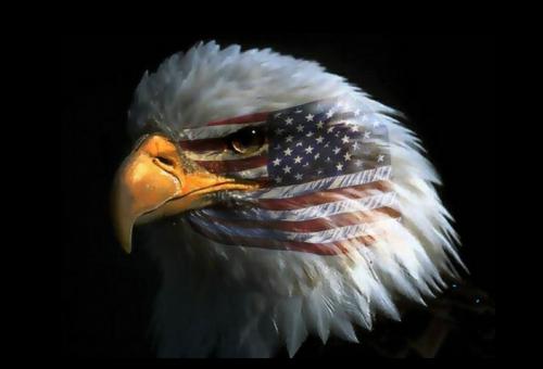 03:30:21 GMT-0500 (EST)