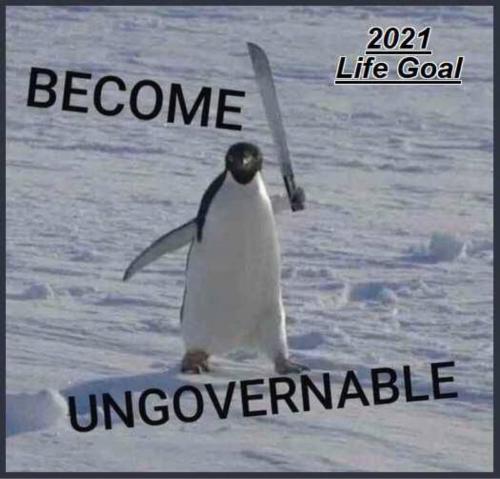 13:51:36 GMT-0500 (EST).image