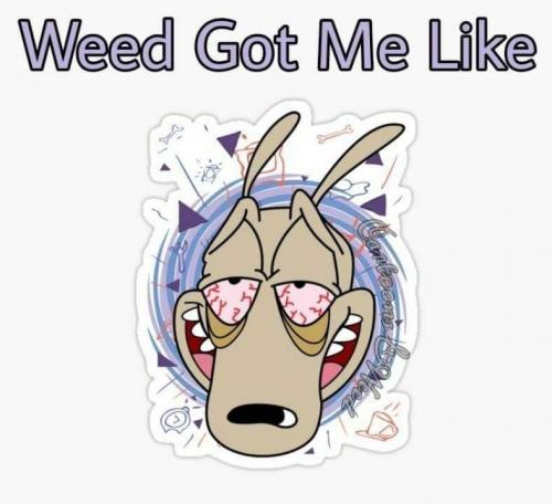 08:33:40 GMT-0500 (EST).image