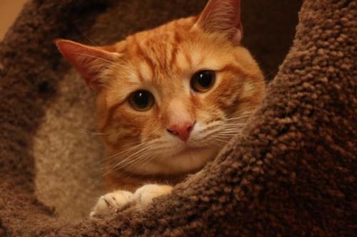 22:39:56 GMT-0600 (CST).image