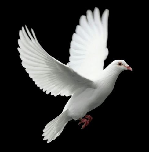 14:06:32 GMT-0600 (CST)