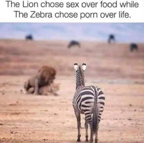 11:55:25 GMT-0600 (CST)