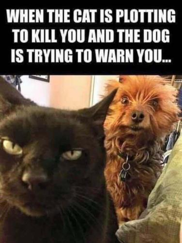 14:00:08 GMT-0800 (PST).image