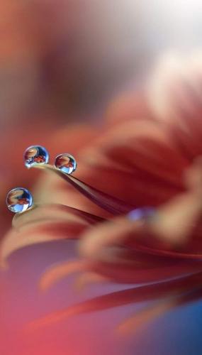 22:44:20 GMT-0600 (CST)