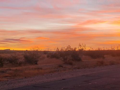 135324745_665811677448973_7902289097907983421_o