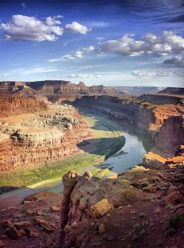 138193831_1491178914414787_798853887117358457_n