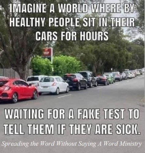 141376470_681341829226708_4625937117536342149_n