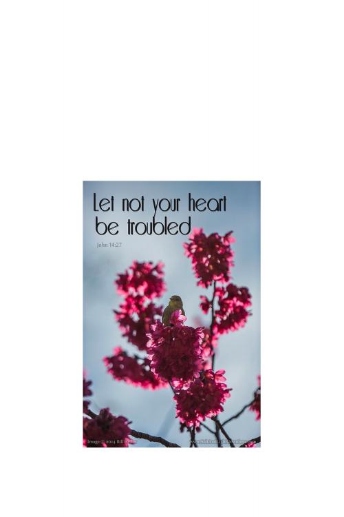 09:40:09 GMT-0800 (PST).image