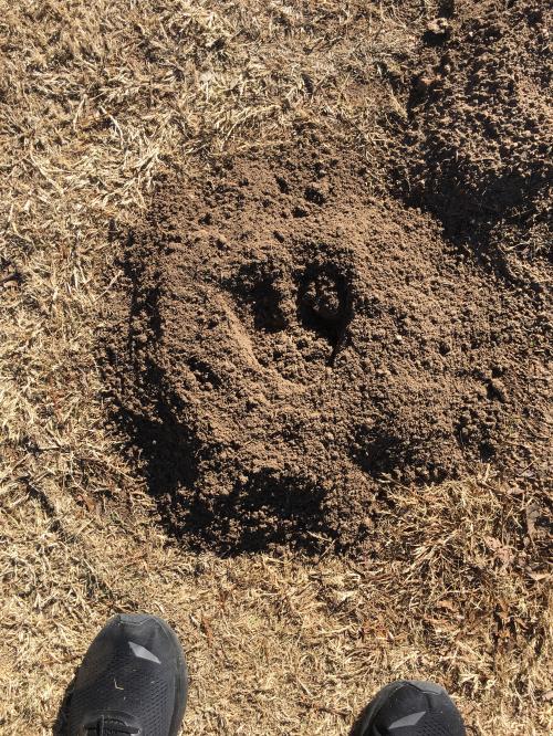 11:38:18 GMT-0600 (CST).image