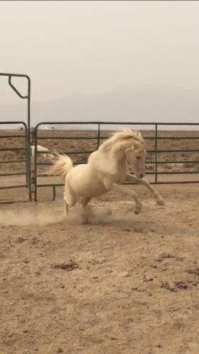 19:48:02 GMT-0800 (PST).image