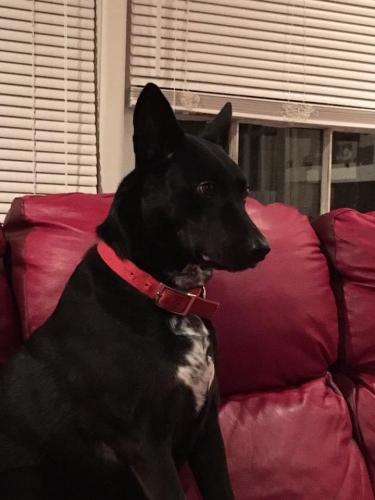 10:15:39 GMT-0600 (CST).image