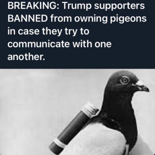 10:46:39 GMT-0500 (EST).image