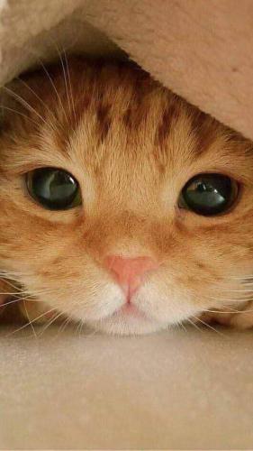 16:44:16 GMT-0600 (CST)