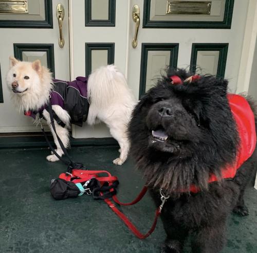 08:52:36 GMT+0100 (WAT).image