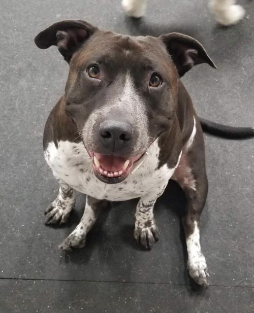 16:55:34 GMT-0600 (CST).image