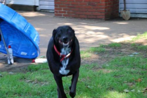 09:59:29 GMT-0600 (CST).image