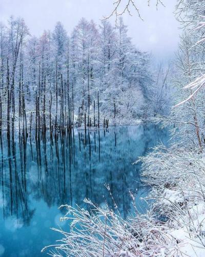 139999369_856162605168631_5925474817869210124_o